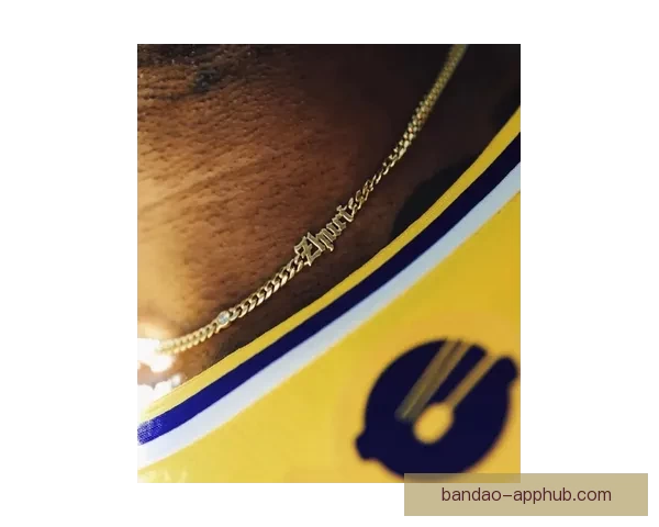 詹姆斯连发动态狂赞布朗尼布莱斯轻松夺得西区冠军